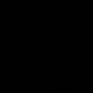 Meet your Posher, Mya